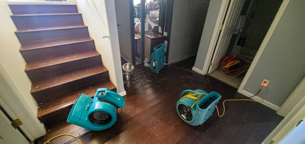 Best Residential water damage restoration  in Montgomery, OH