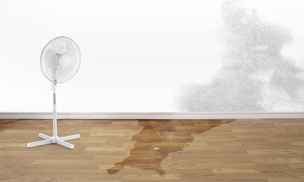 Best Water damage restoration near me  in Montgomery, OH