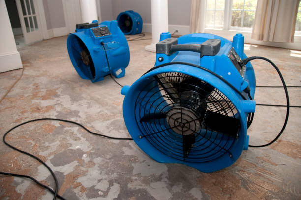 Water damage restoration mold remediation in OH