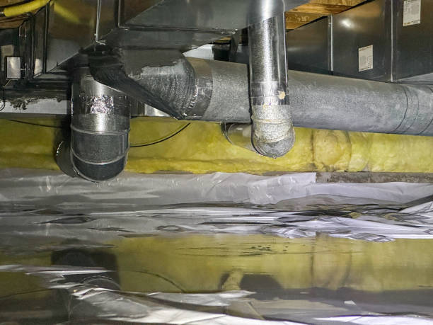 Best Basement water damage restoration  in Montgomery, OH